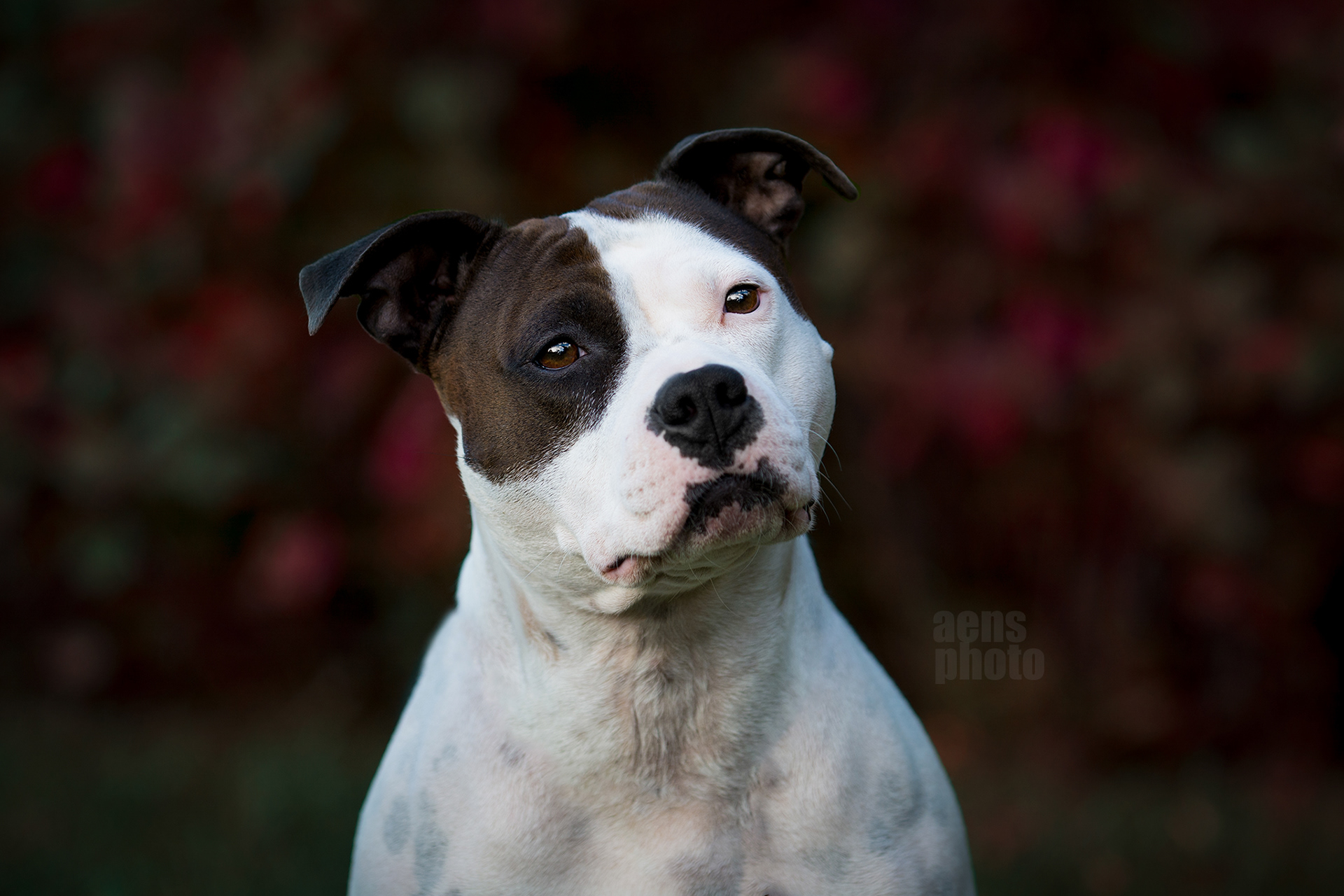 AMSTAFF MARTTA