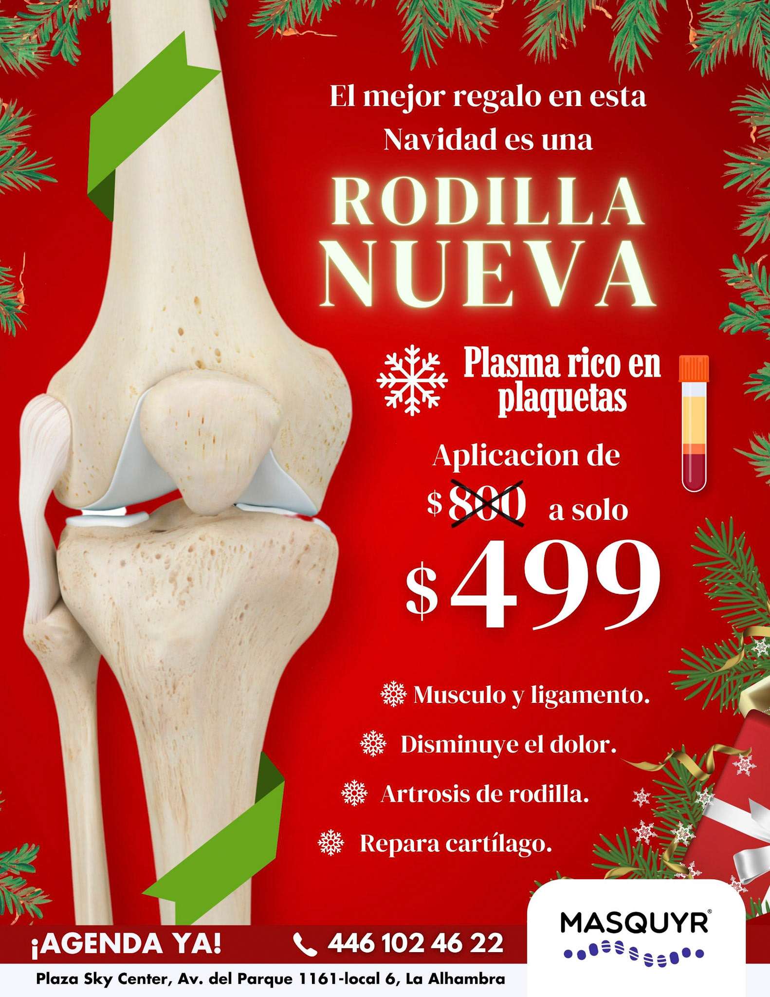 RODILLA NUEVA - 3