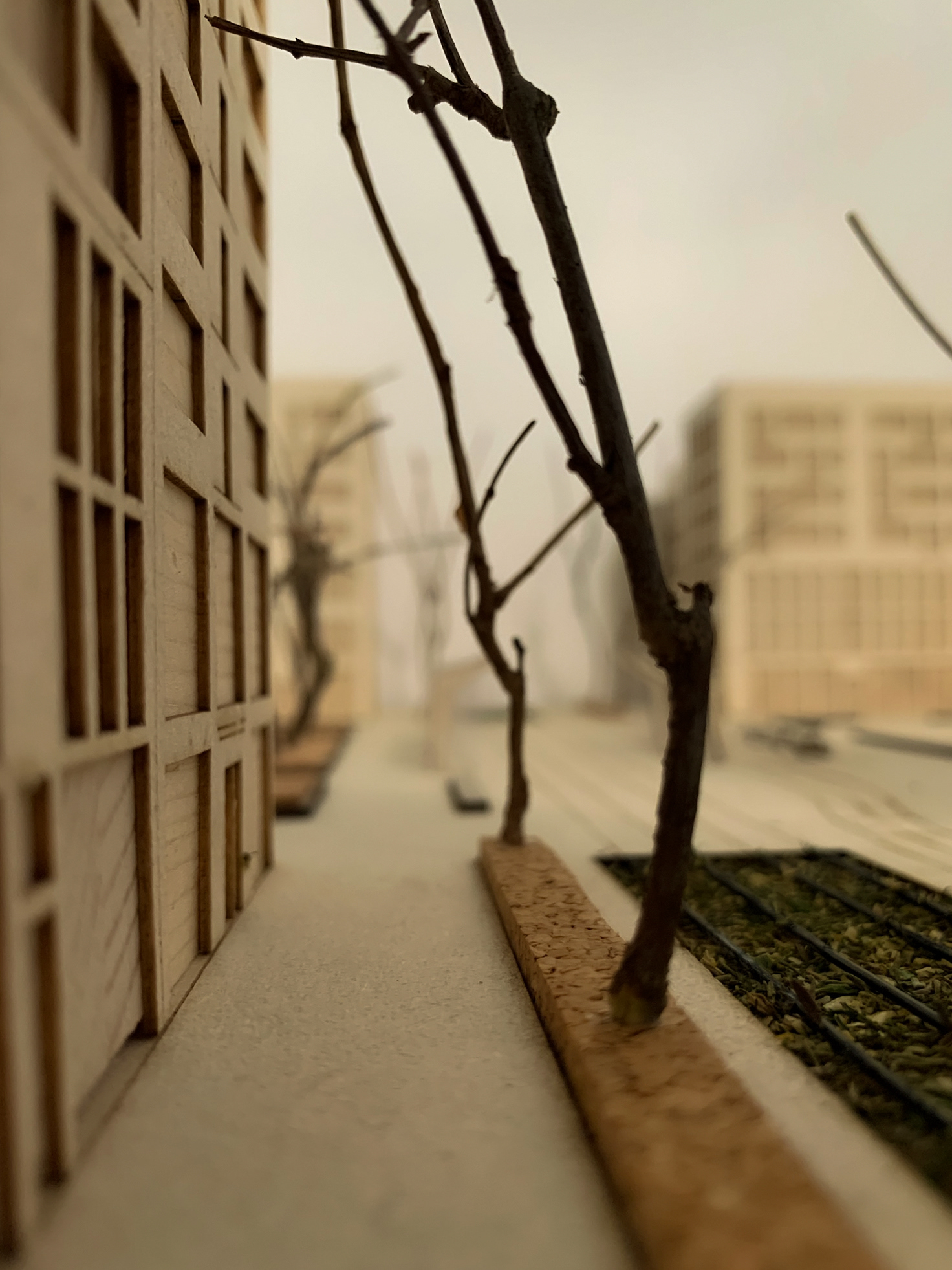 Hard surfaced public space