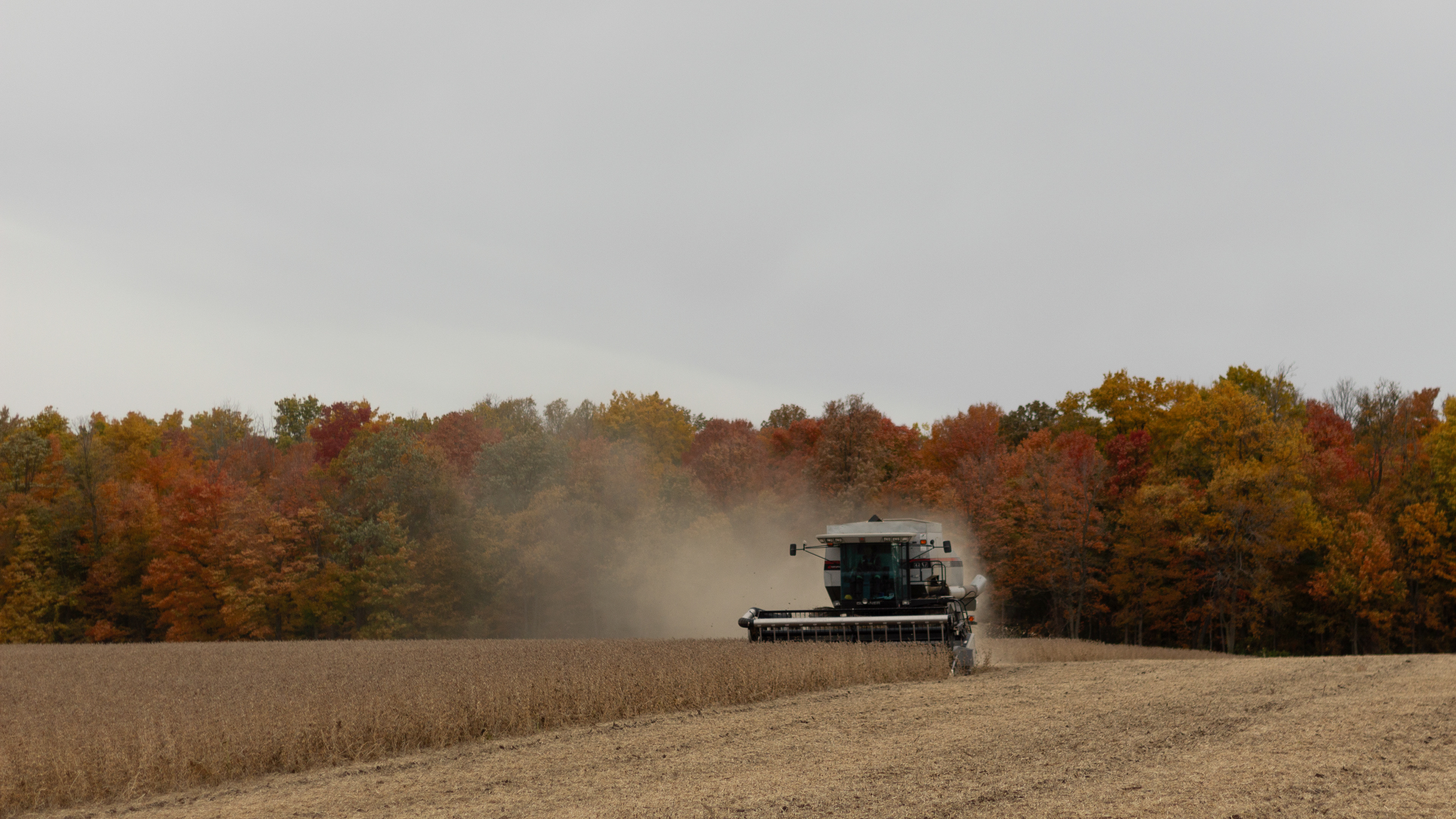 Soybean Harvest - 2020