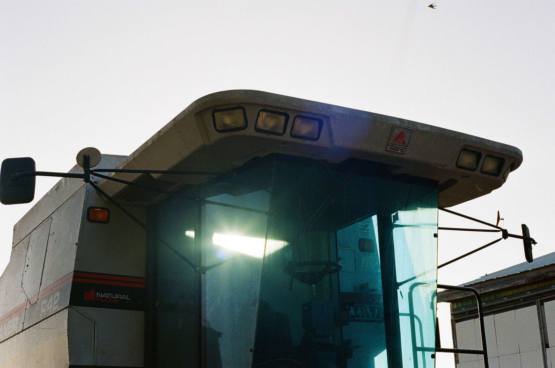 No Cab Corn (yet...) - 2024