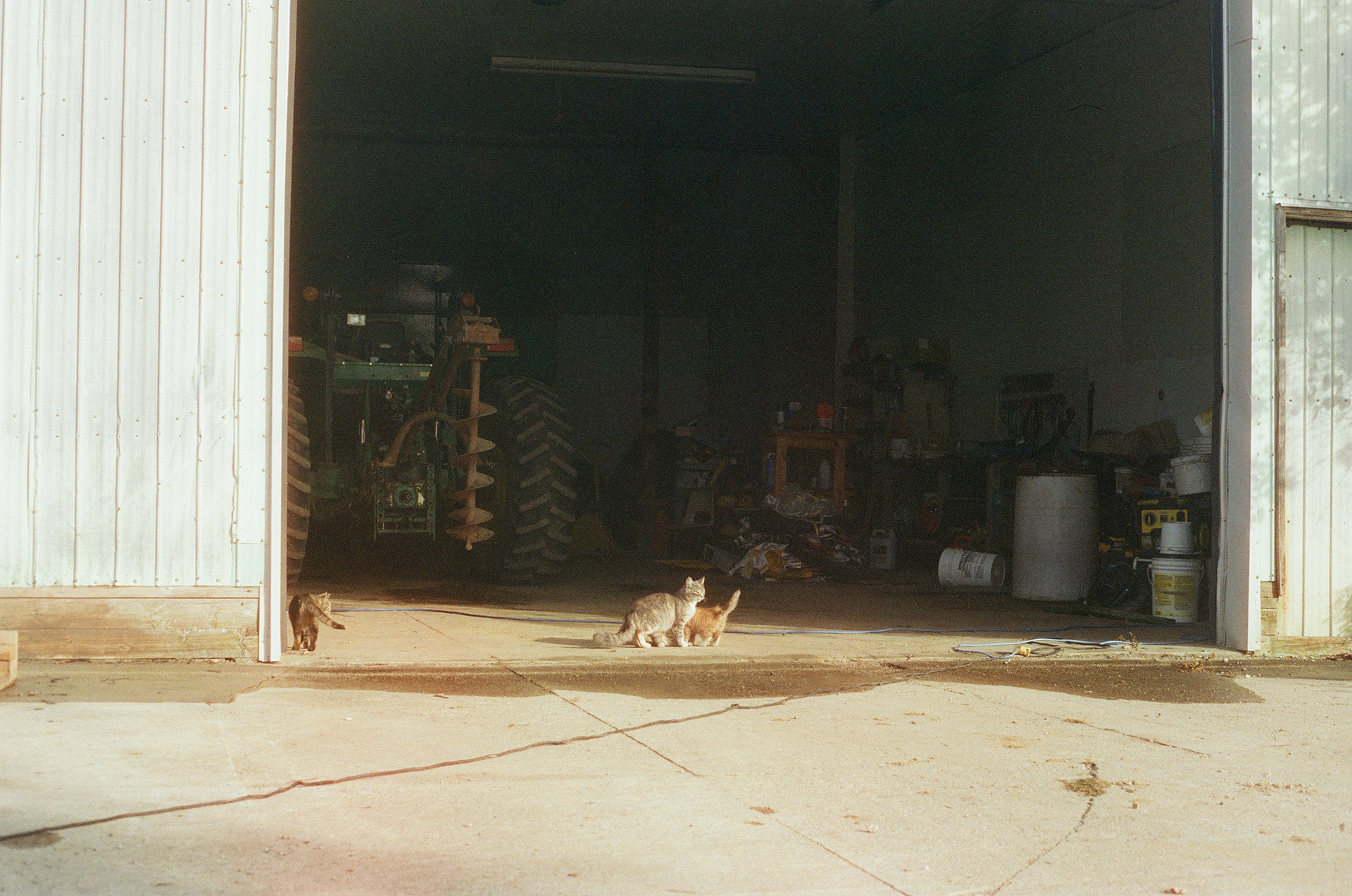 Brutus et al. - 2024