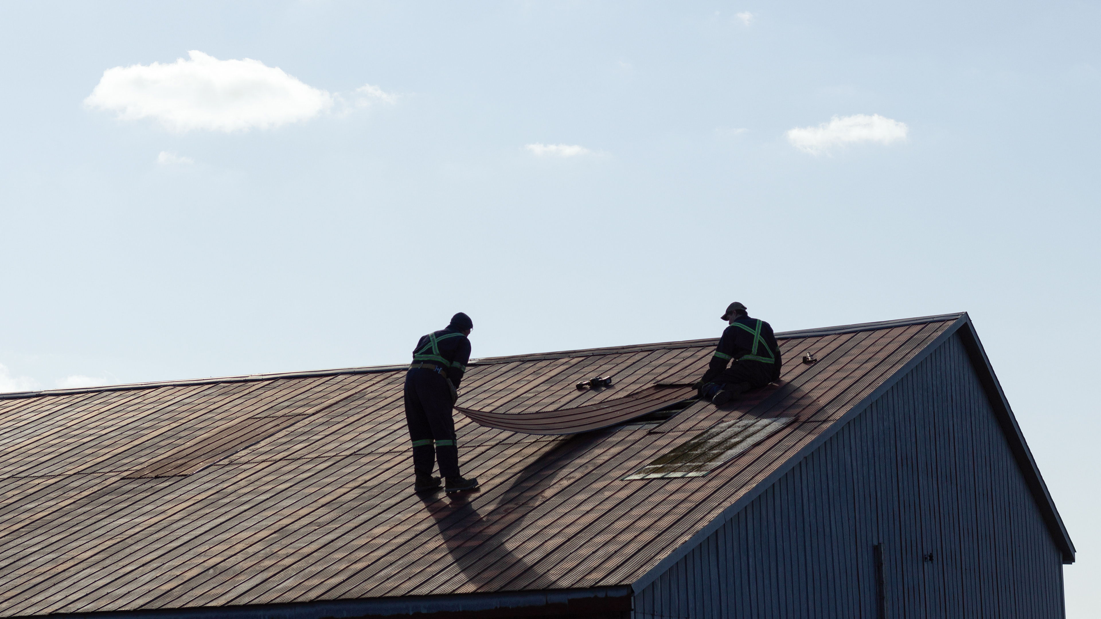 Two Men on a Roof - 2020