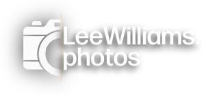 Lee Williams