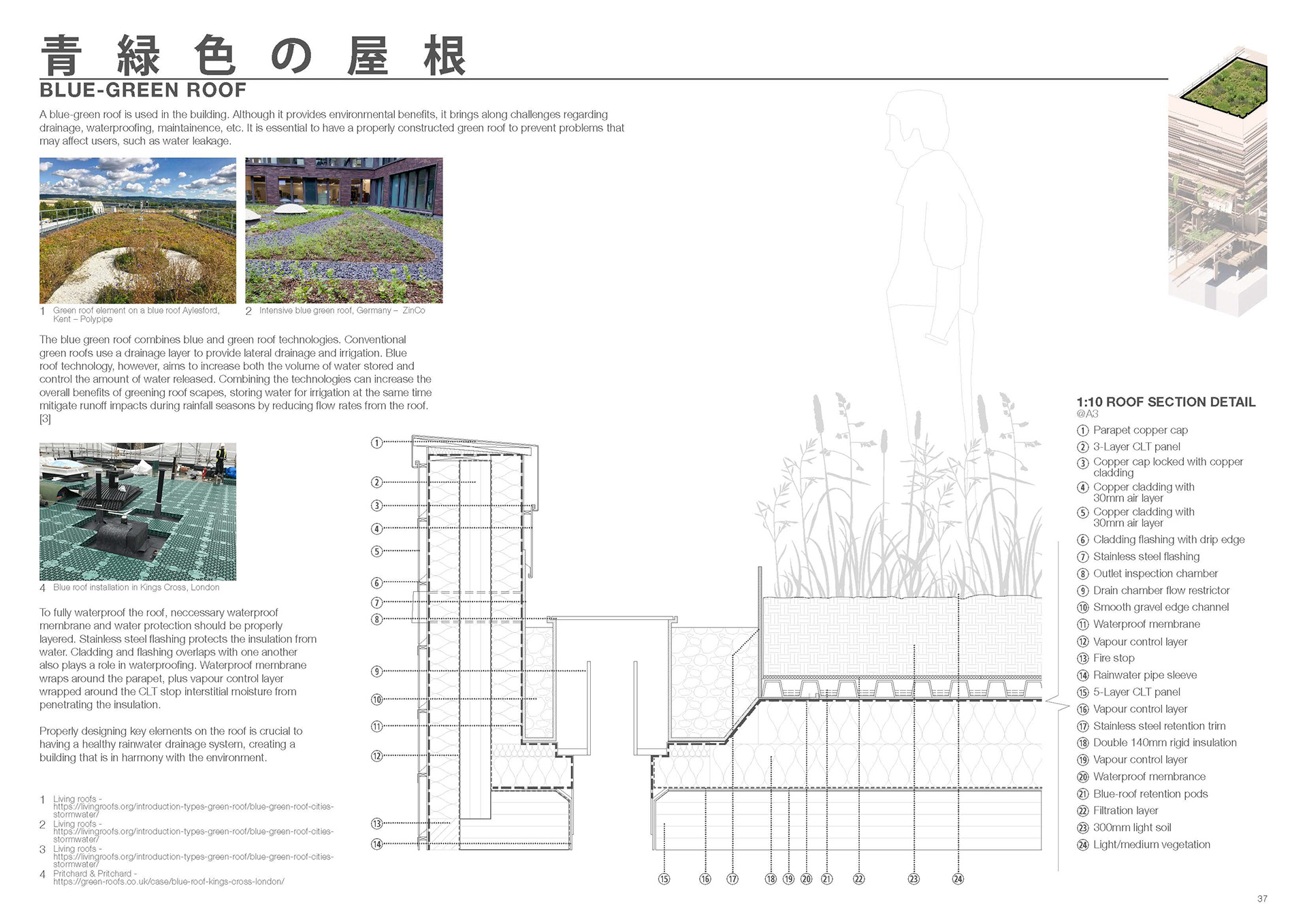 Blue-Green Roof