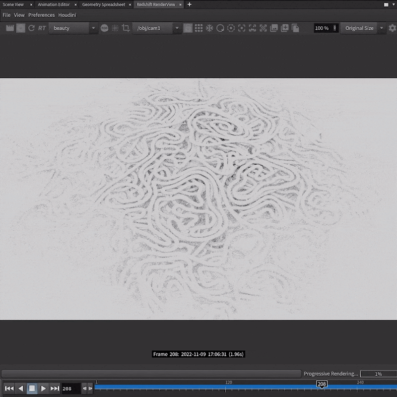 Differential growth 02