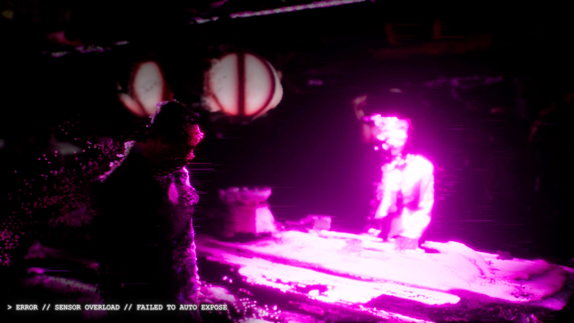 Distorted Facial Data