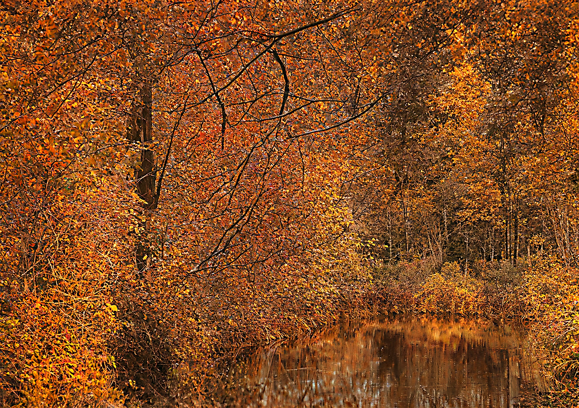 Cromford Canal.