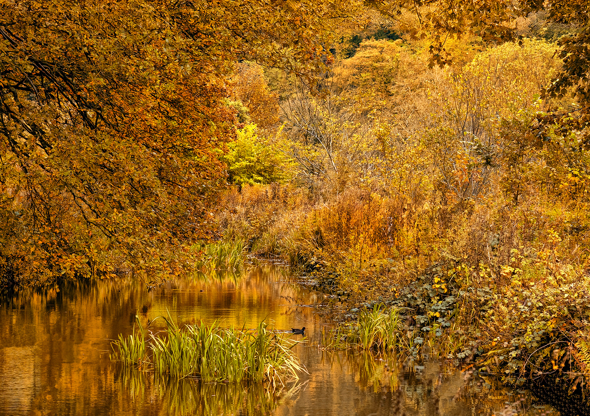 Cromford Canal.