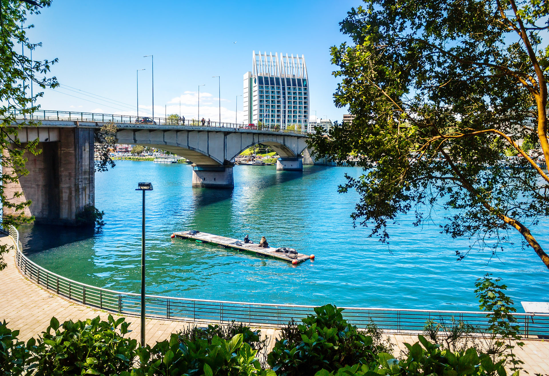 Pedro de Valdivia Bridge with sea lions on the foreground in Valdivia, Chile