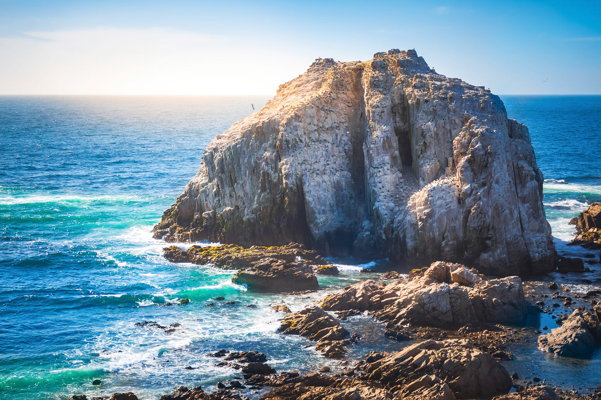 Rocky island with birds near coastilne of pacific ocean in Chile