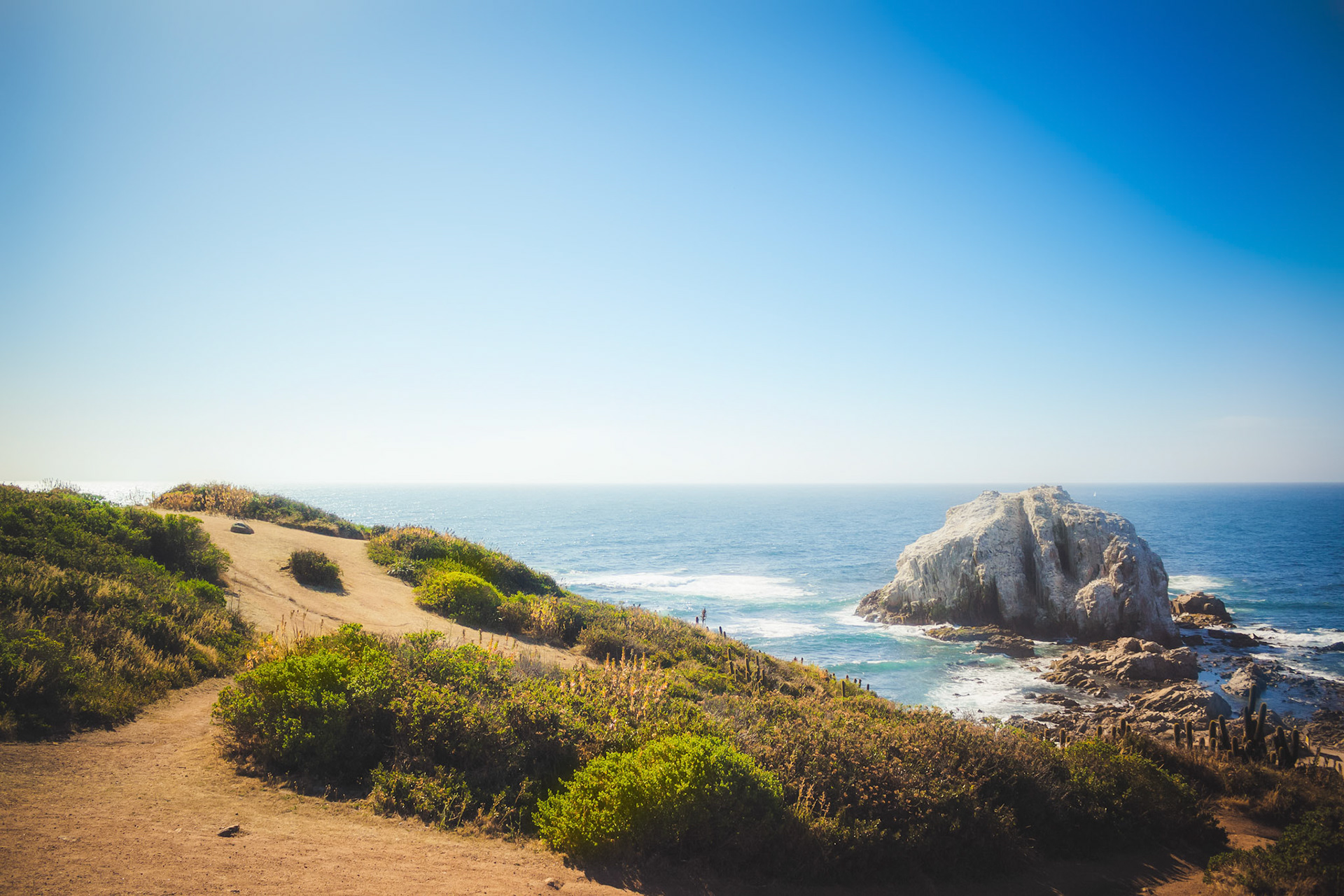 Coastline with pacific ocean and rock in Chile