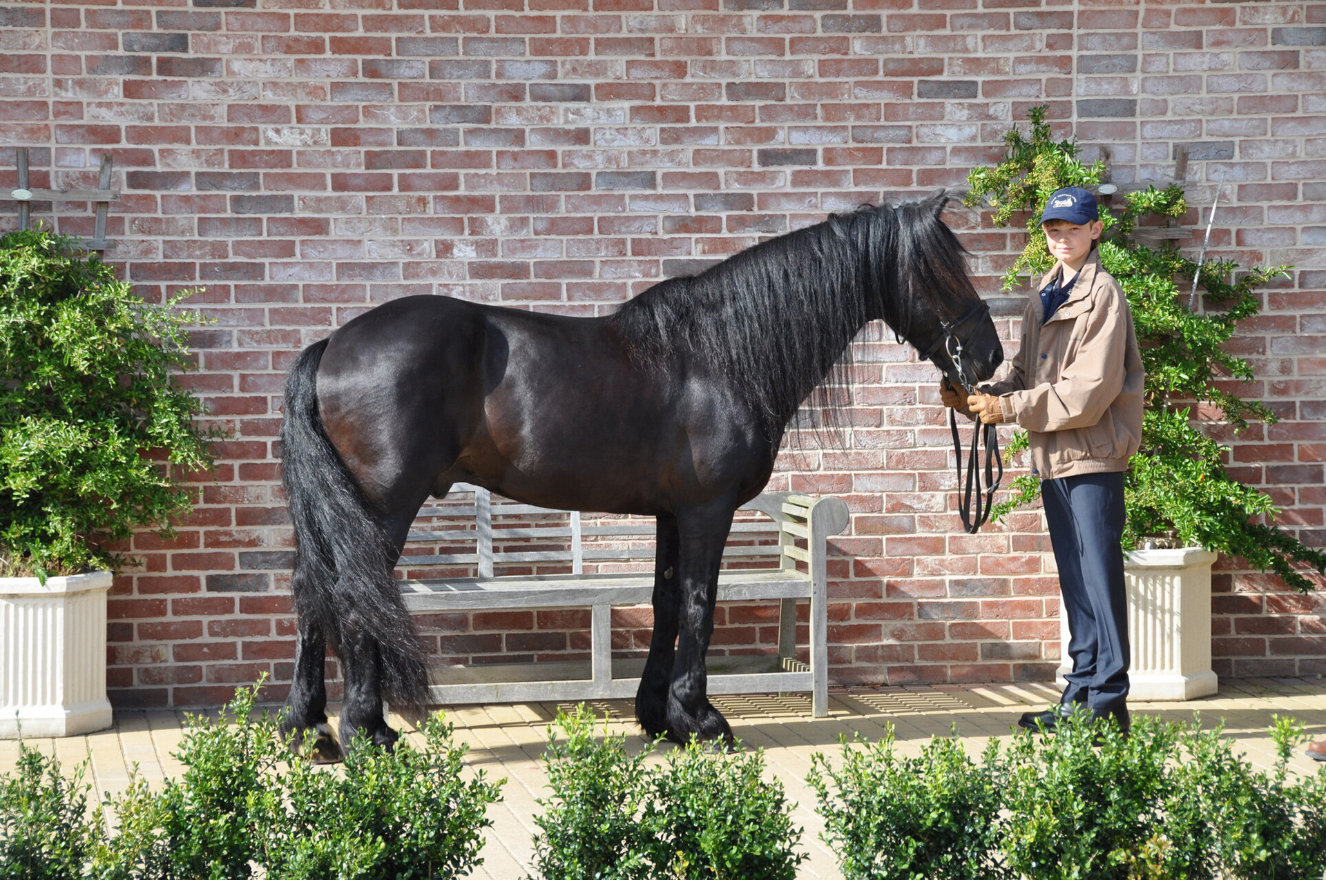 Castlehill John beim Vormustern in Ashfield