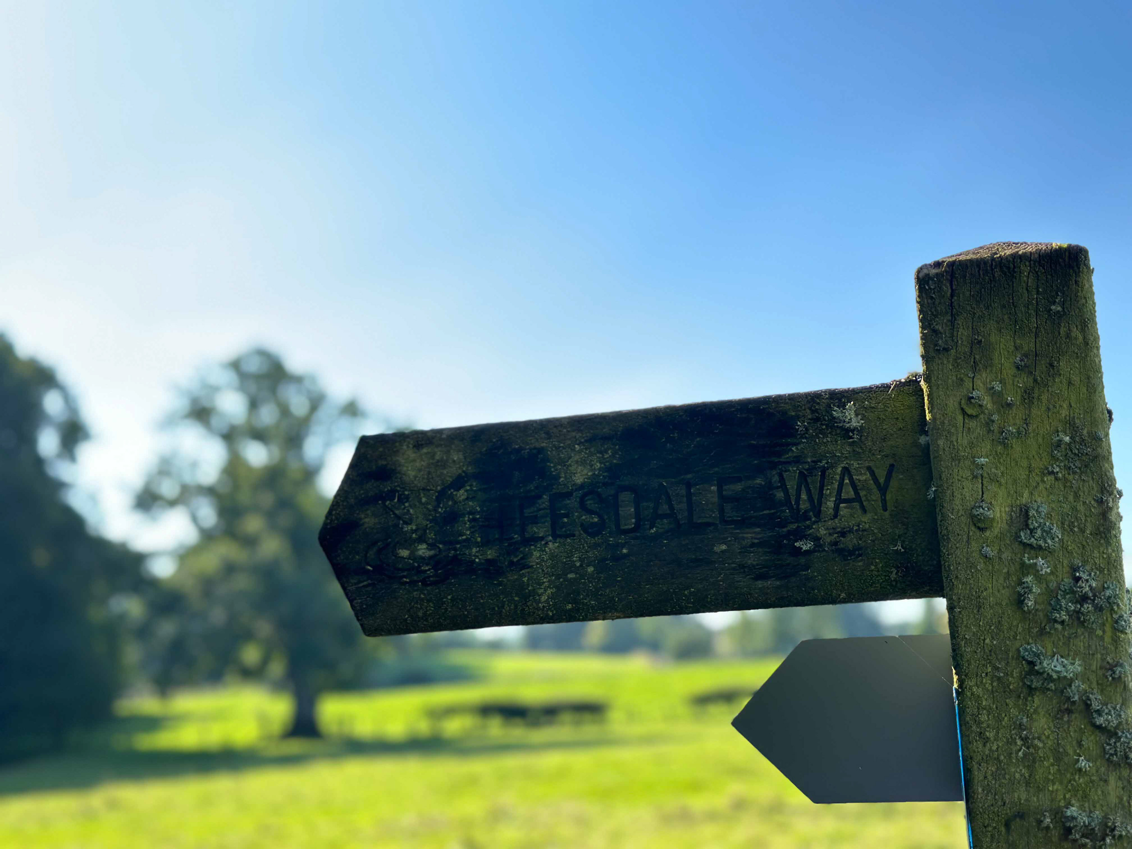 "Teesdale Way" Wanderweg