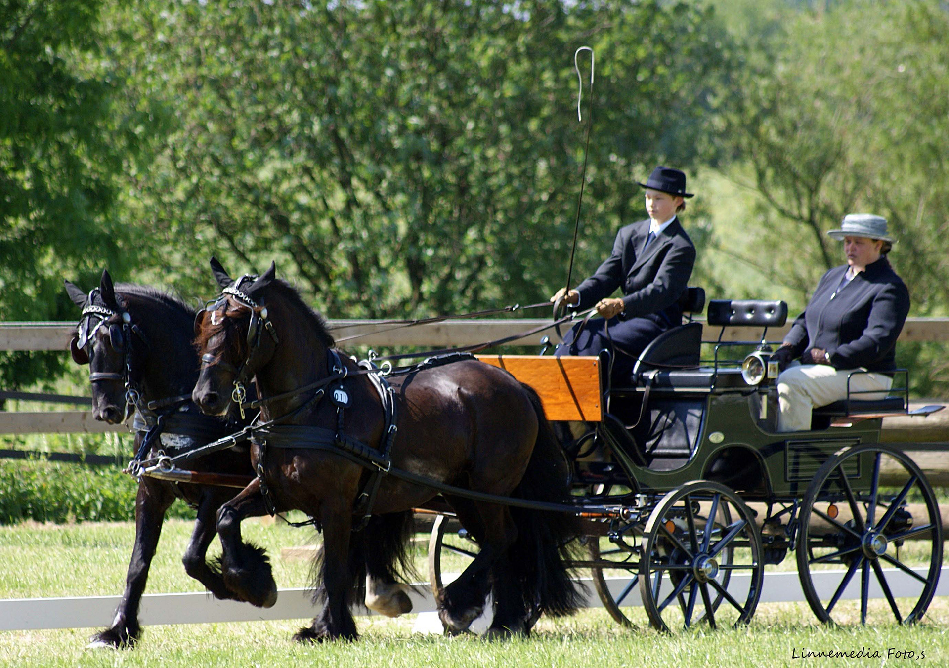 Arche Noah Castlewood (re.) und Arche Noah Darwin (li.) in der Dressur, Doris als Beifahrerin und Alexander fährt