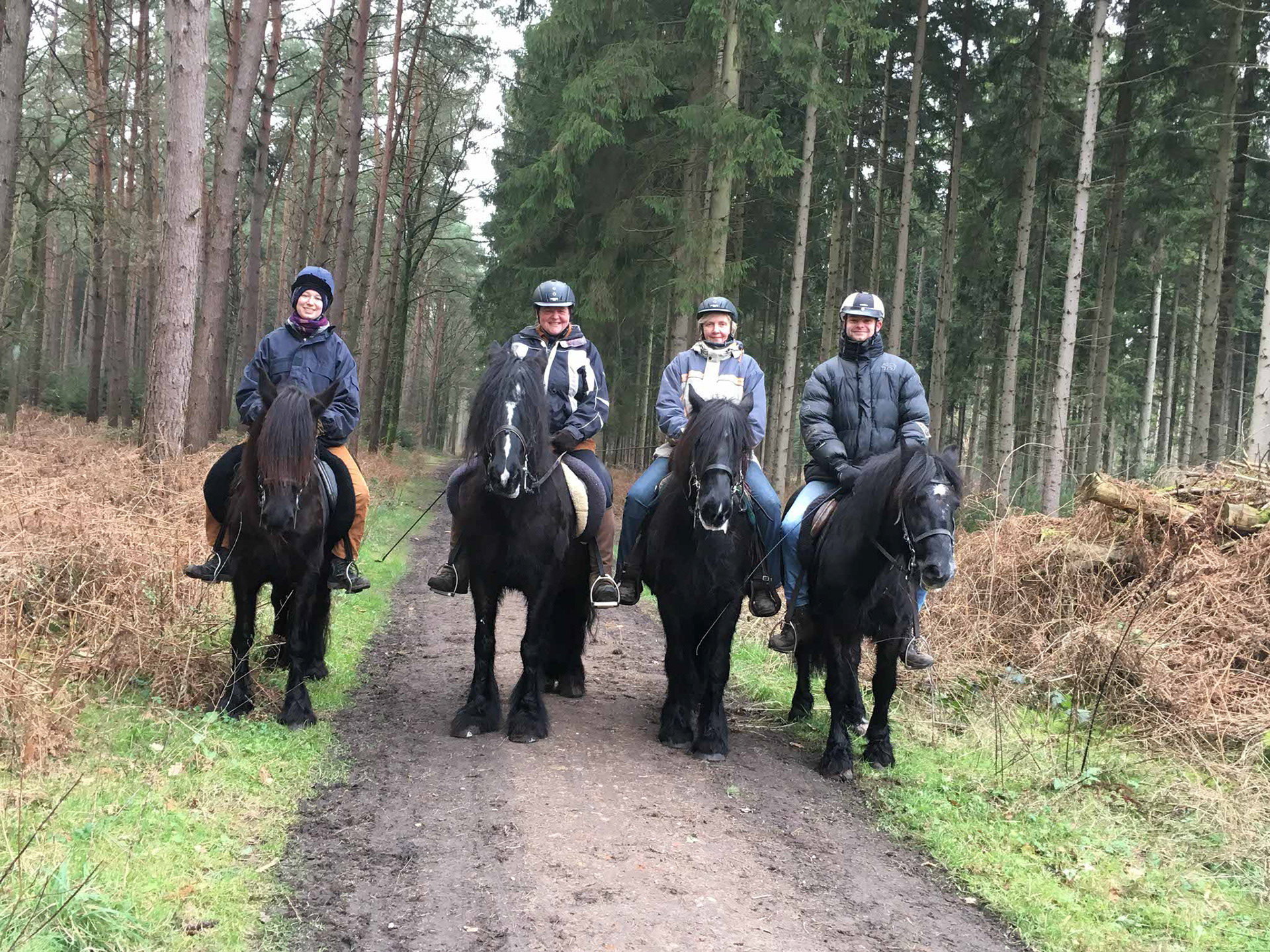 Reiten im Wald mit Arche Noah Grace, Lillyfee, Beacondale Patricia und Castle Hill John II