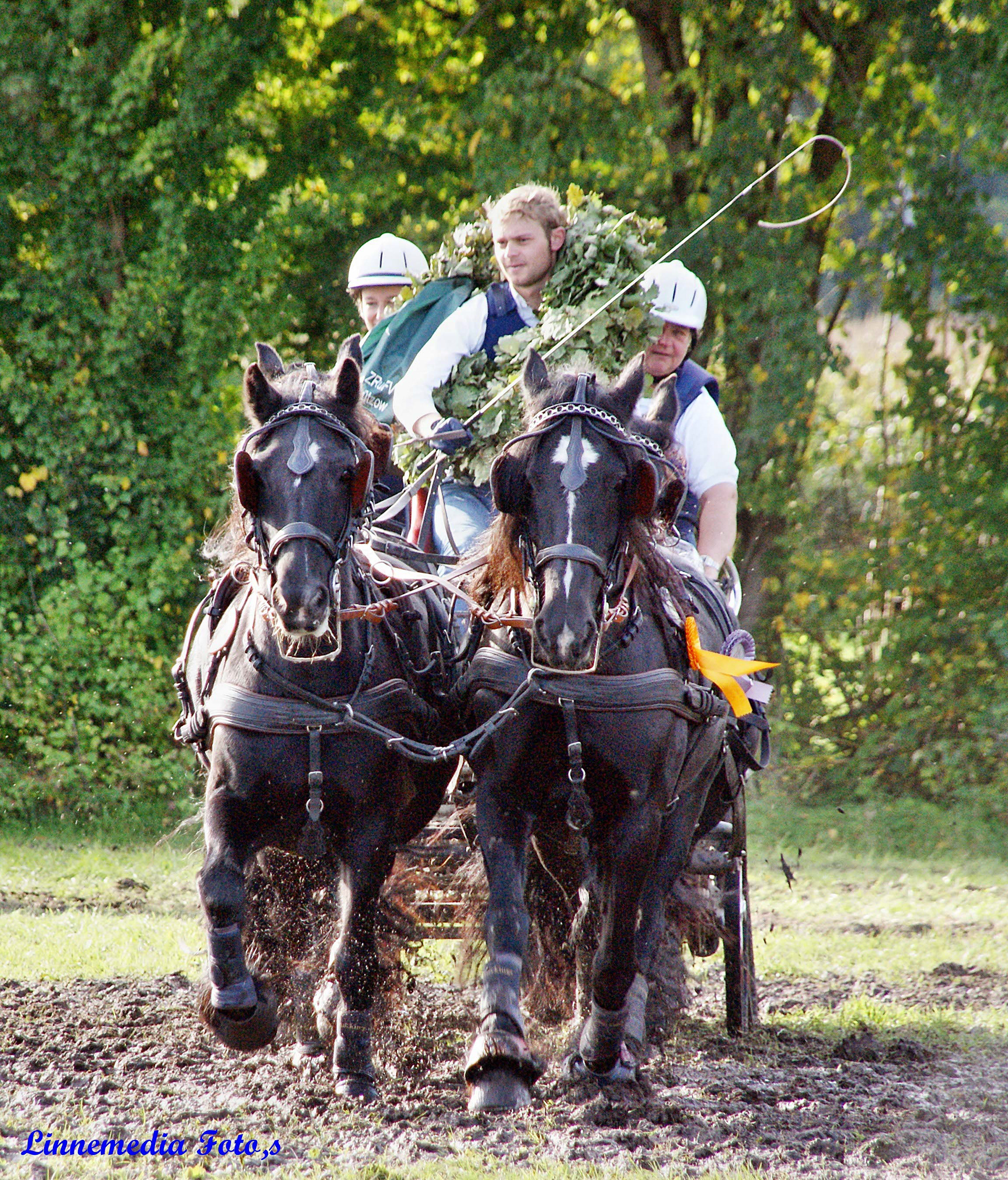 Arche Noah Castlewood (vre.), Arche Noah Lillyfee (vli.), Arche Noah Grace (hre.) und Arche Noah Josephine (hli.) gewinnen die Gesamtwertung in Olfen