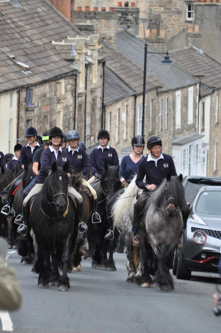 Dales Ponies in Barnard Castle