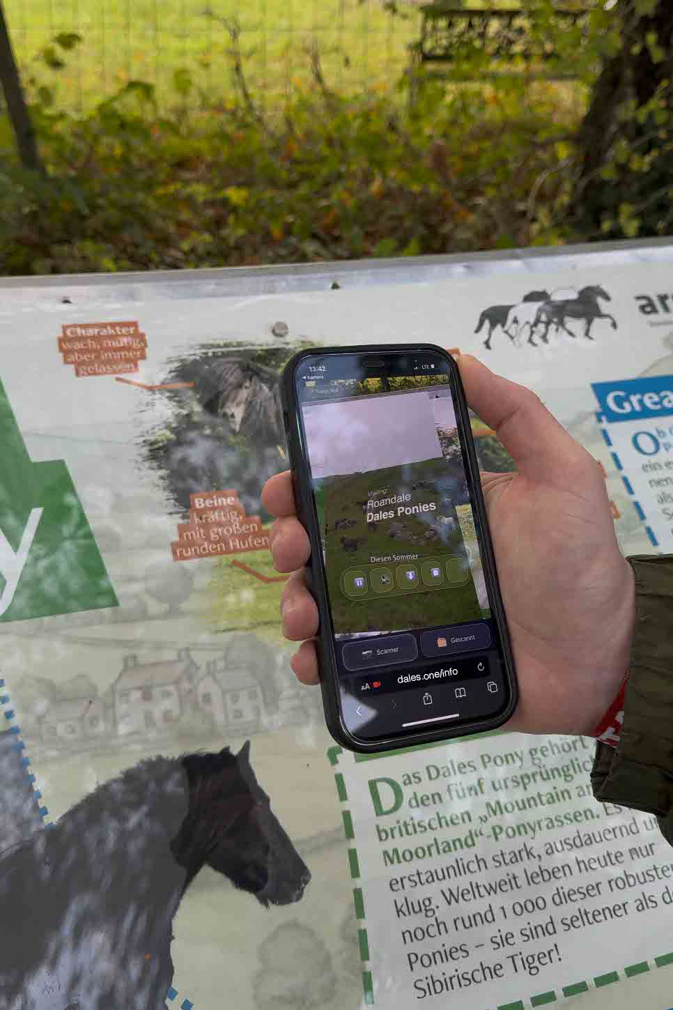 Nutze dein Smartphone, um VR-Videos zu sehen.