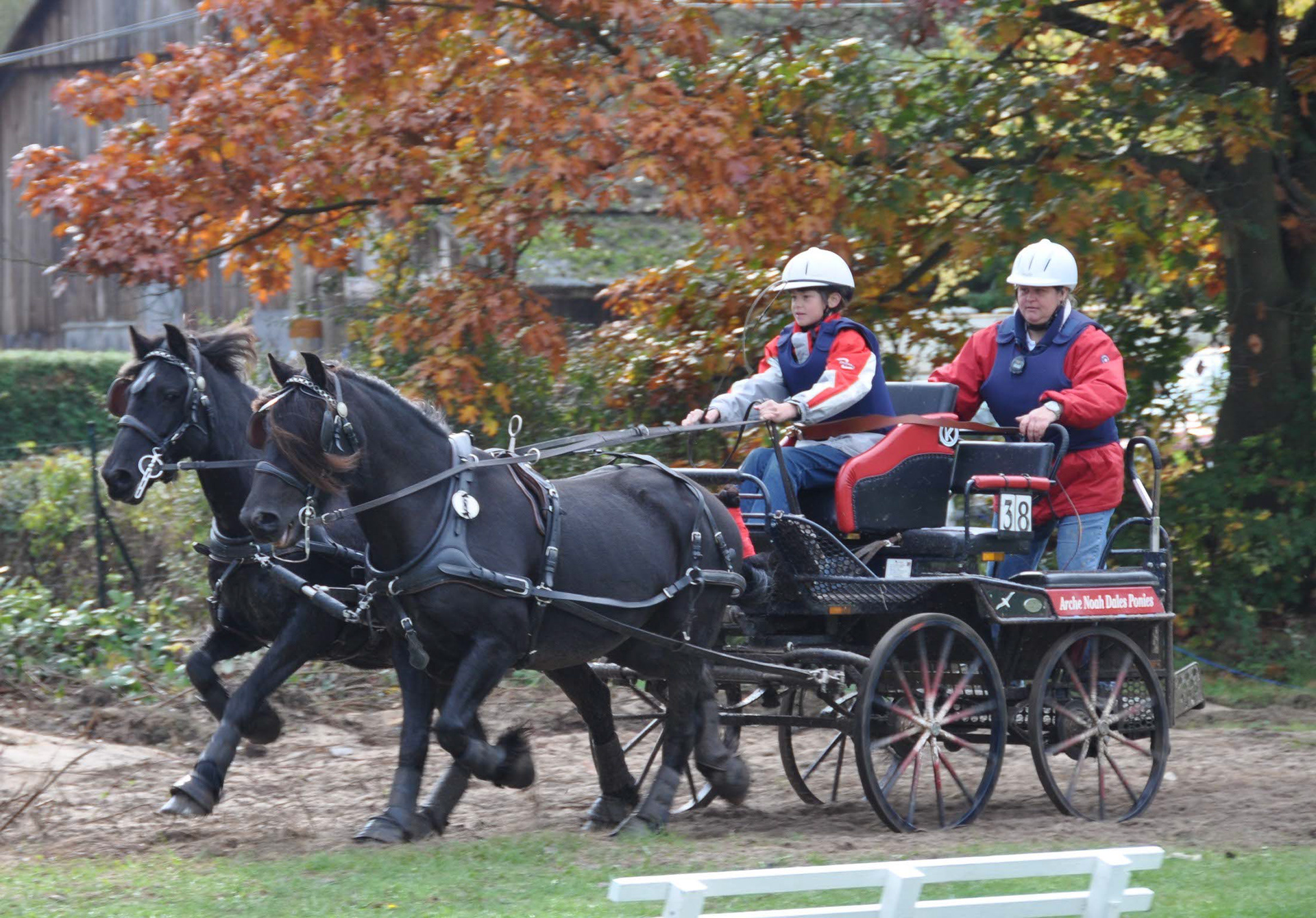 Arche Noah Castlewood (re.) und Arche Noah Darwin (li.) in Neu-Isenburg, 2009