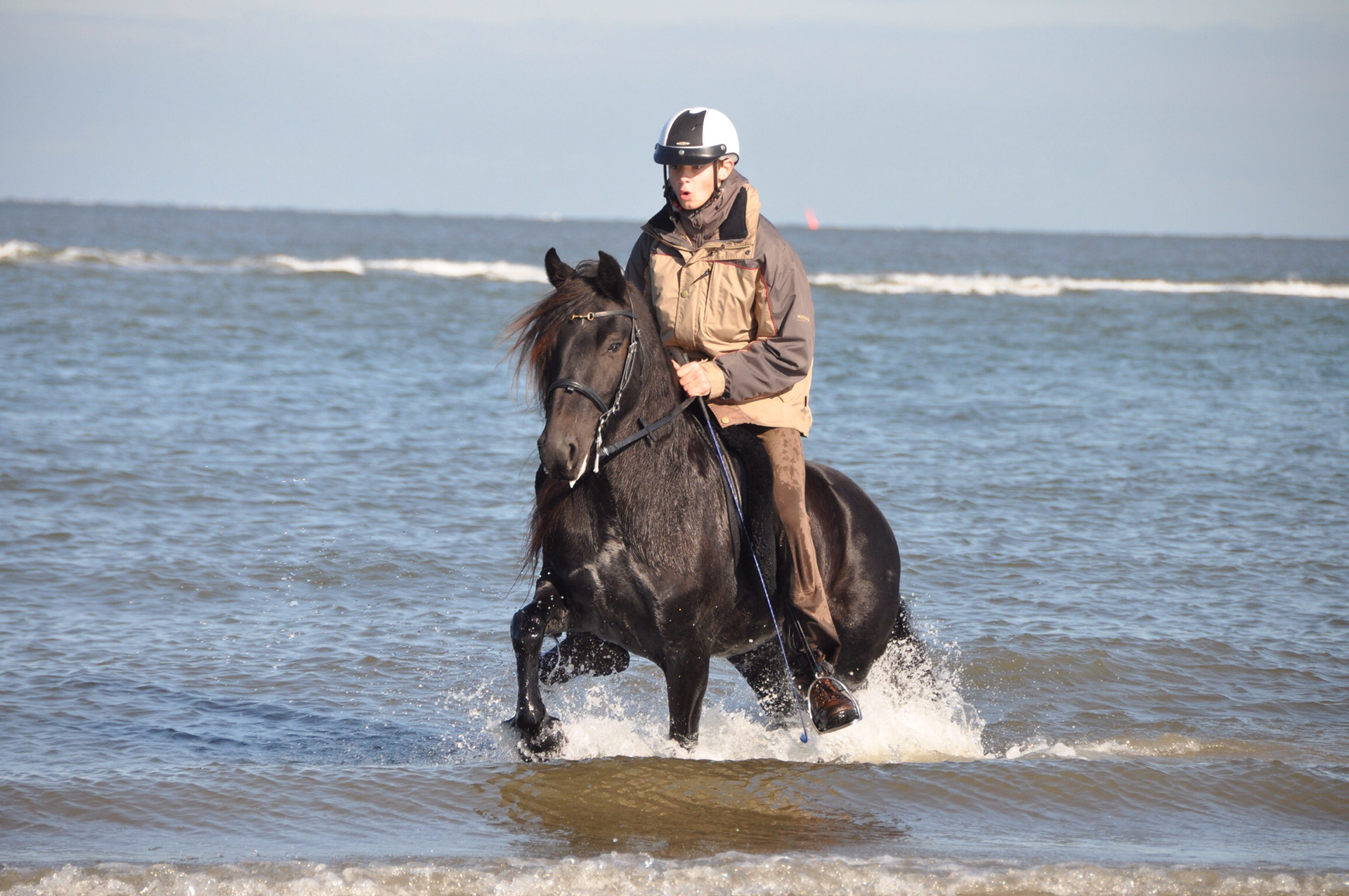 Arche Noah Grace bei einem Ausritt auf Borkum