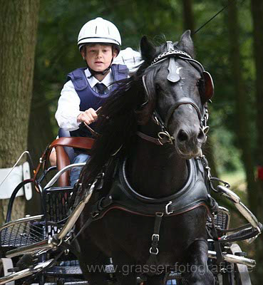 Castle Hill John II - Foto: Grasser