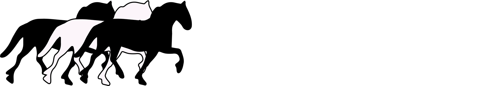 Arche Noah Dales Ponies Logo