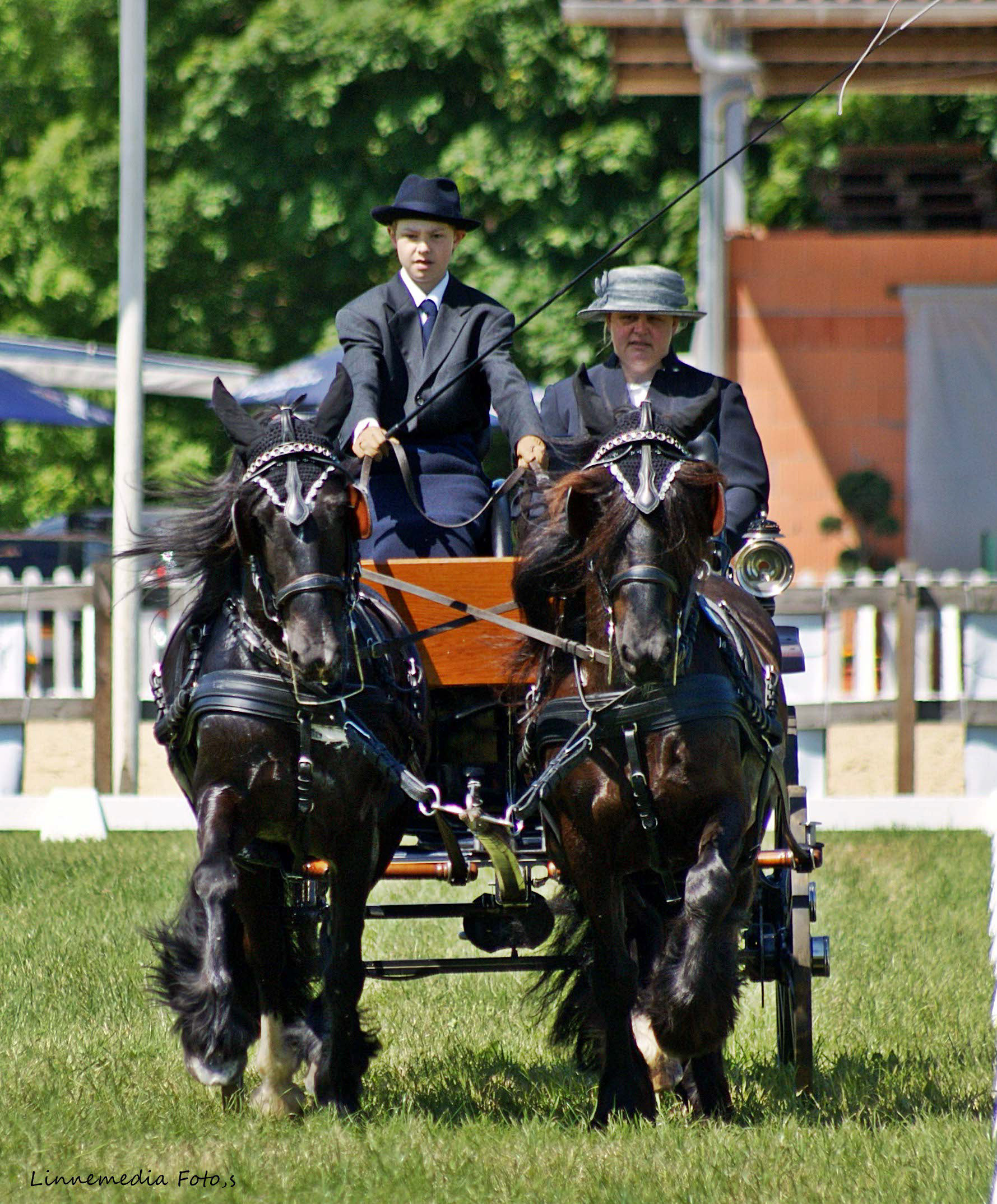 Arche Noah Castlewood (re.) und Arche Noah Darwin (li.) in der Dressur