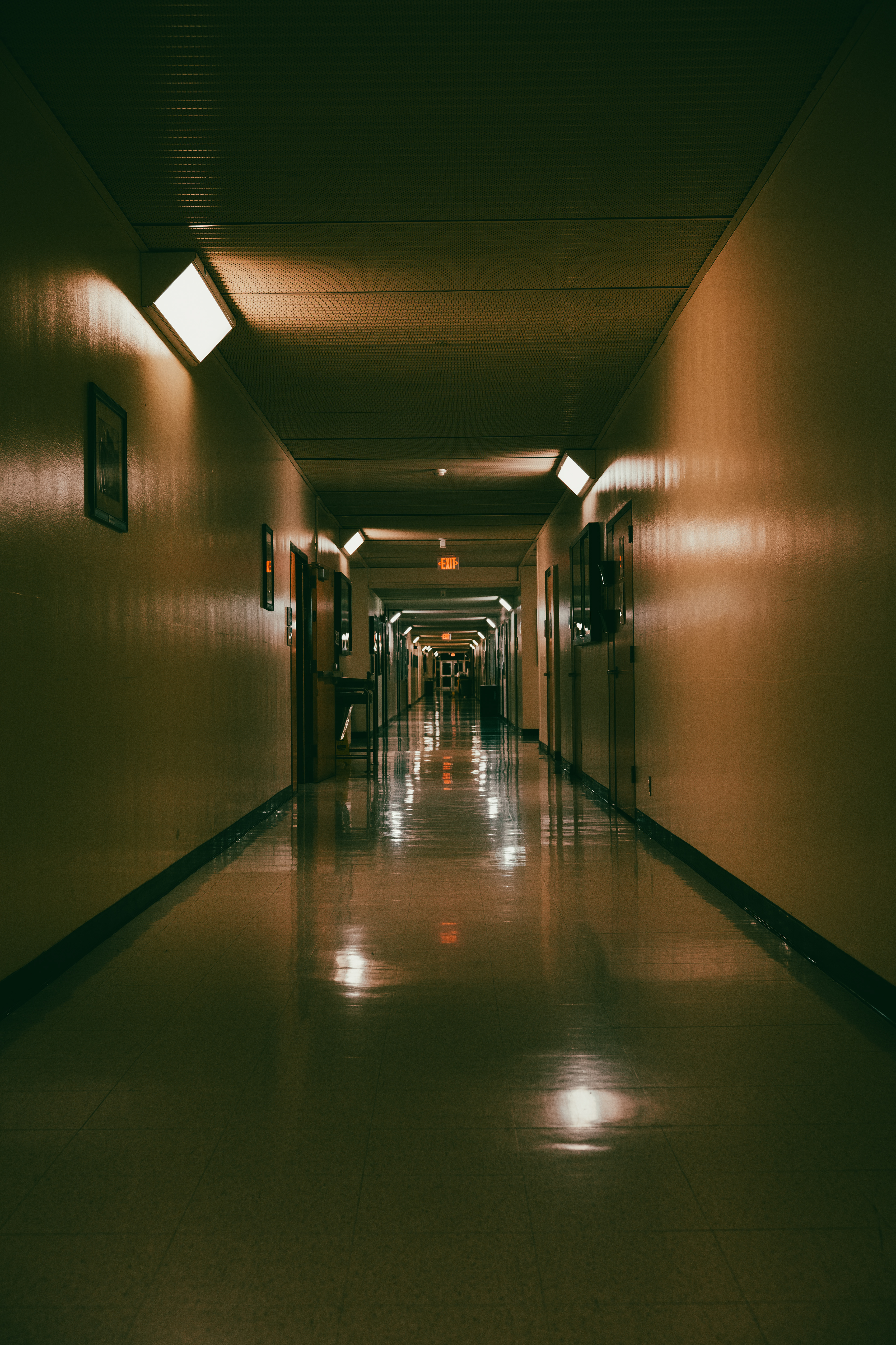 “The Silence Between”