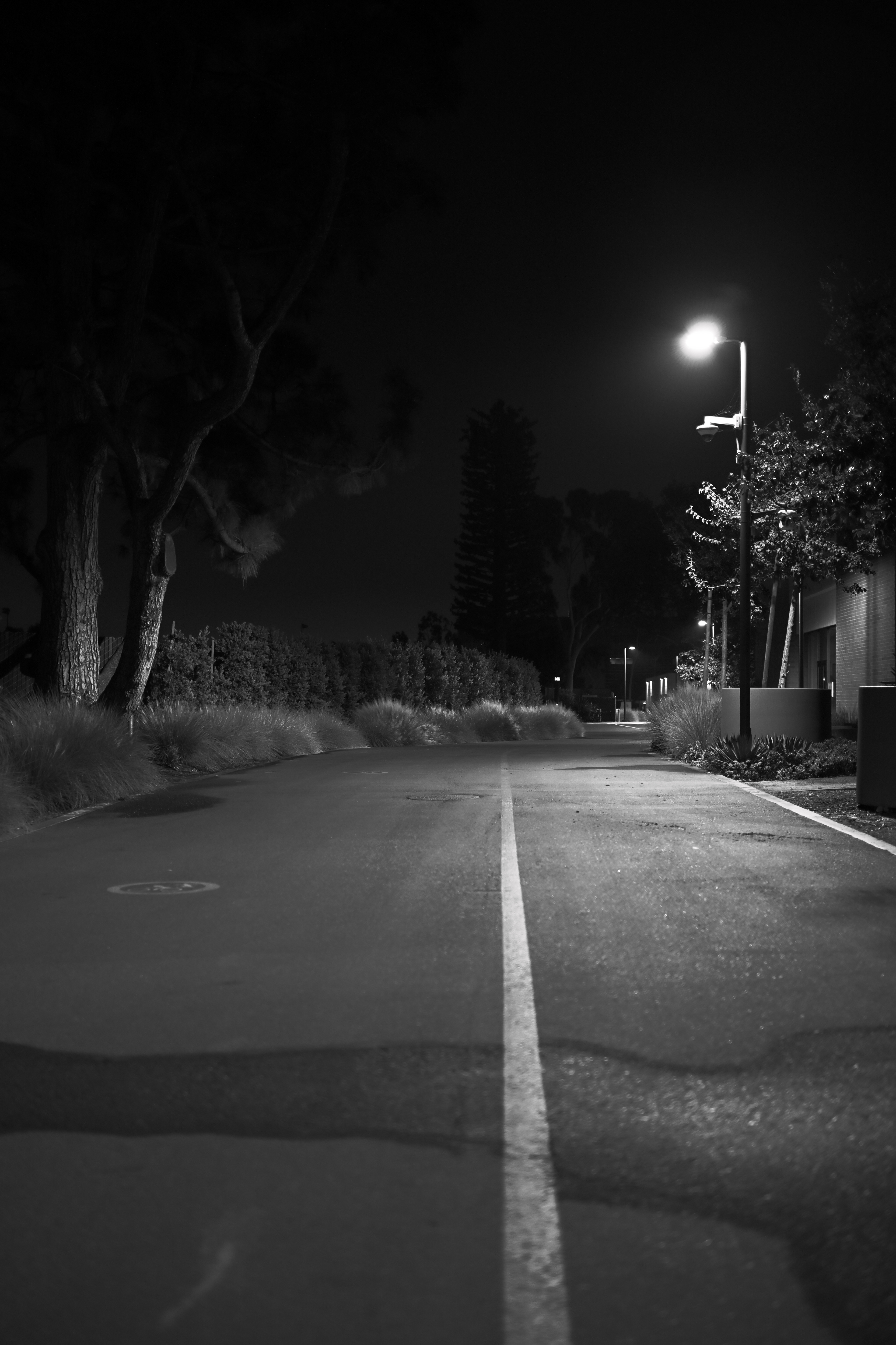 “The Hour Before”