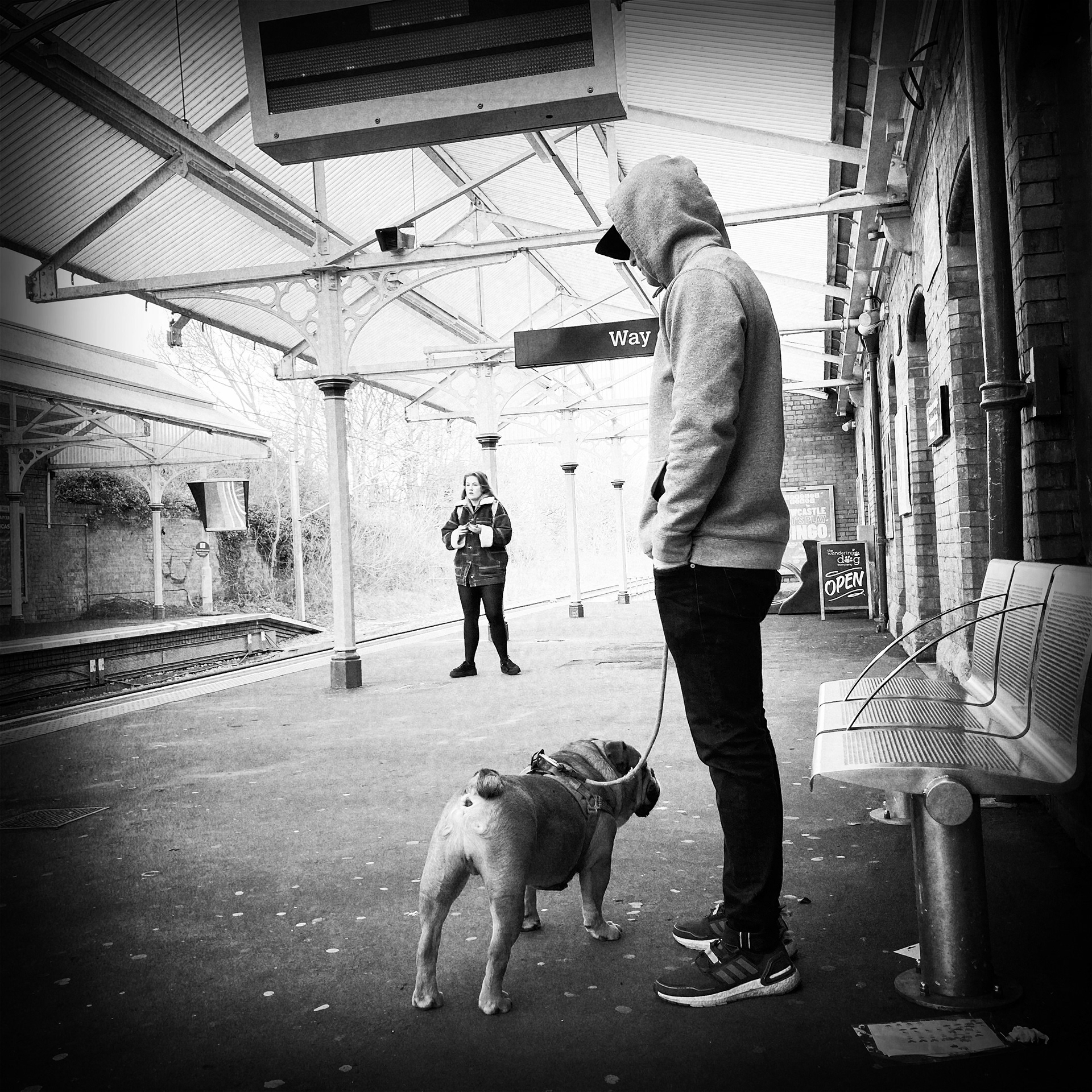 Way of the Dog, Cullercoats Metro Station