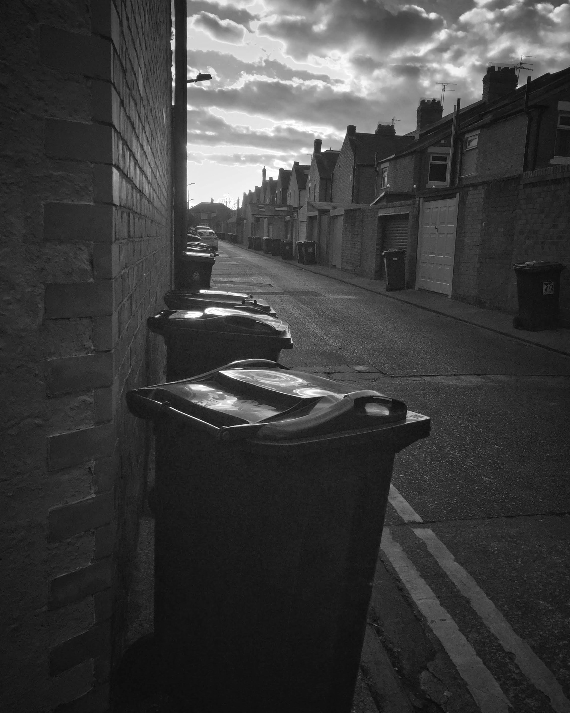 Bin Day