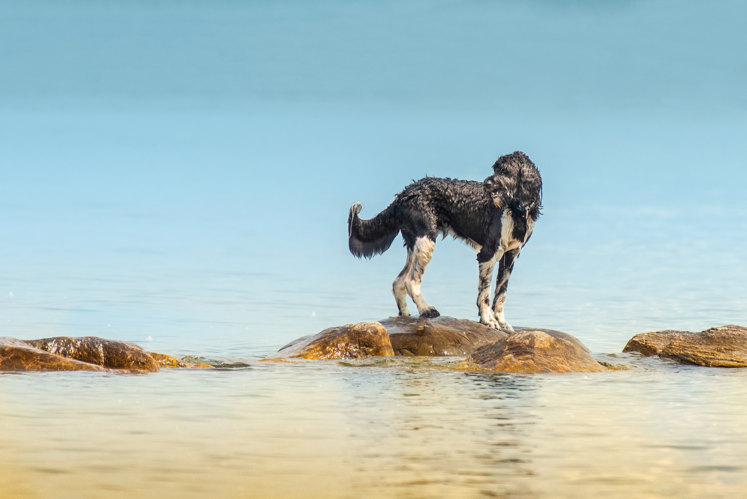 On the Rocks © Irwin Seidman