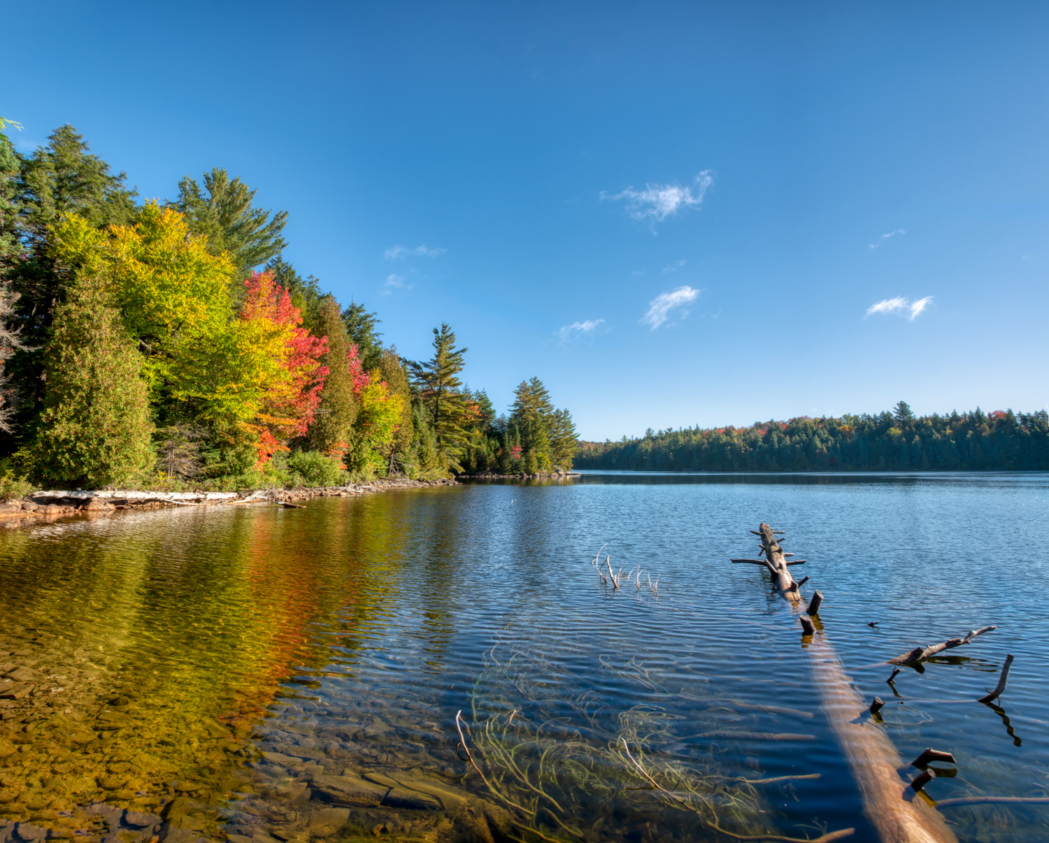 Autumn Morning on Smoke Lake