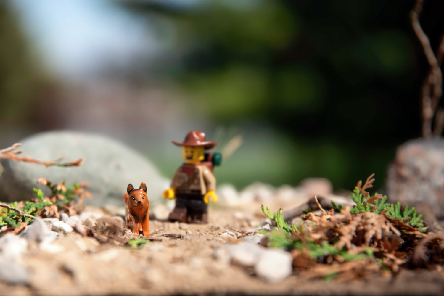 Leading the way © Irwin Seidman