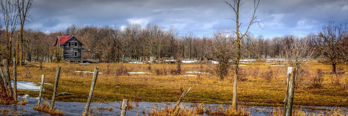 Spring Thaw © Irwin Seidman