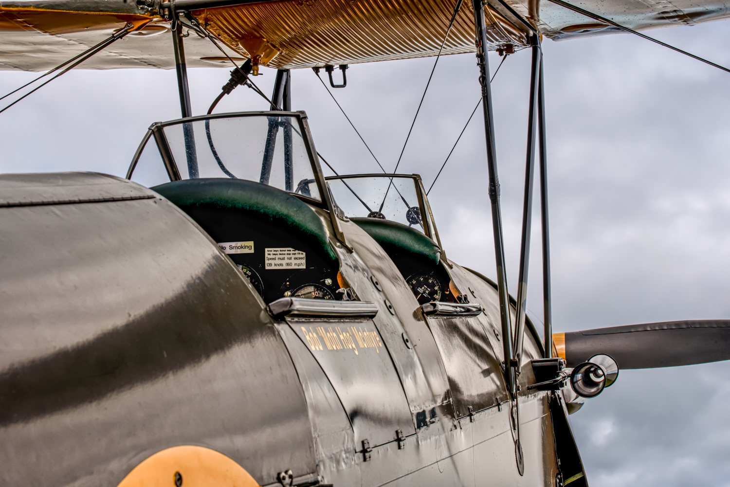 1941 Tiger Moth © Irwin Seidman