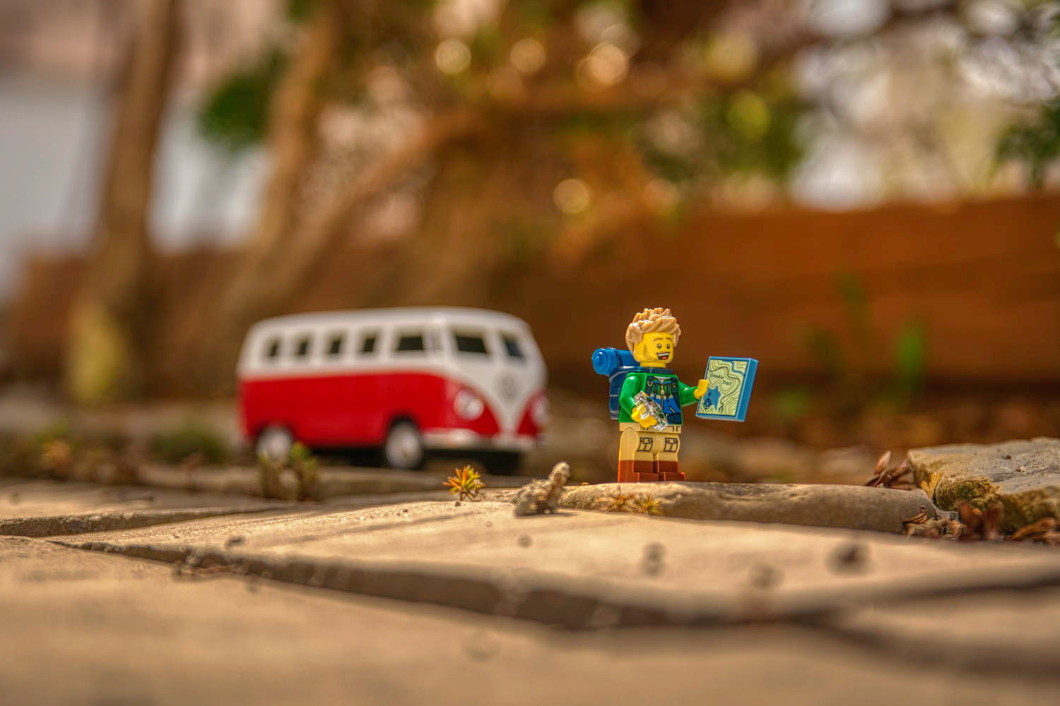 The First Hike of Spring © Irwin Seidman