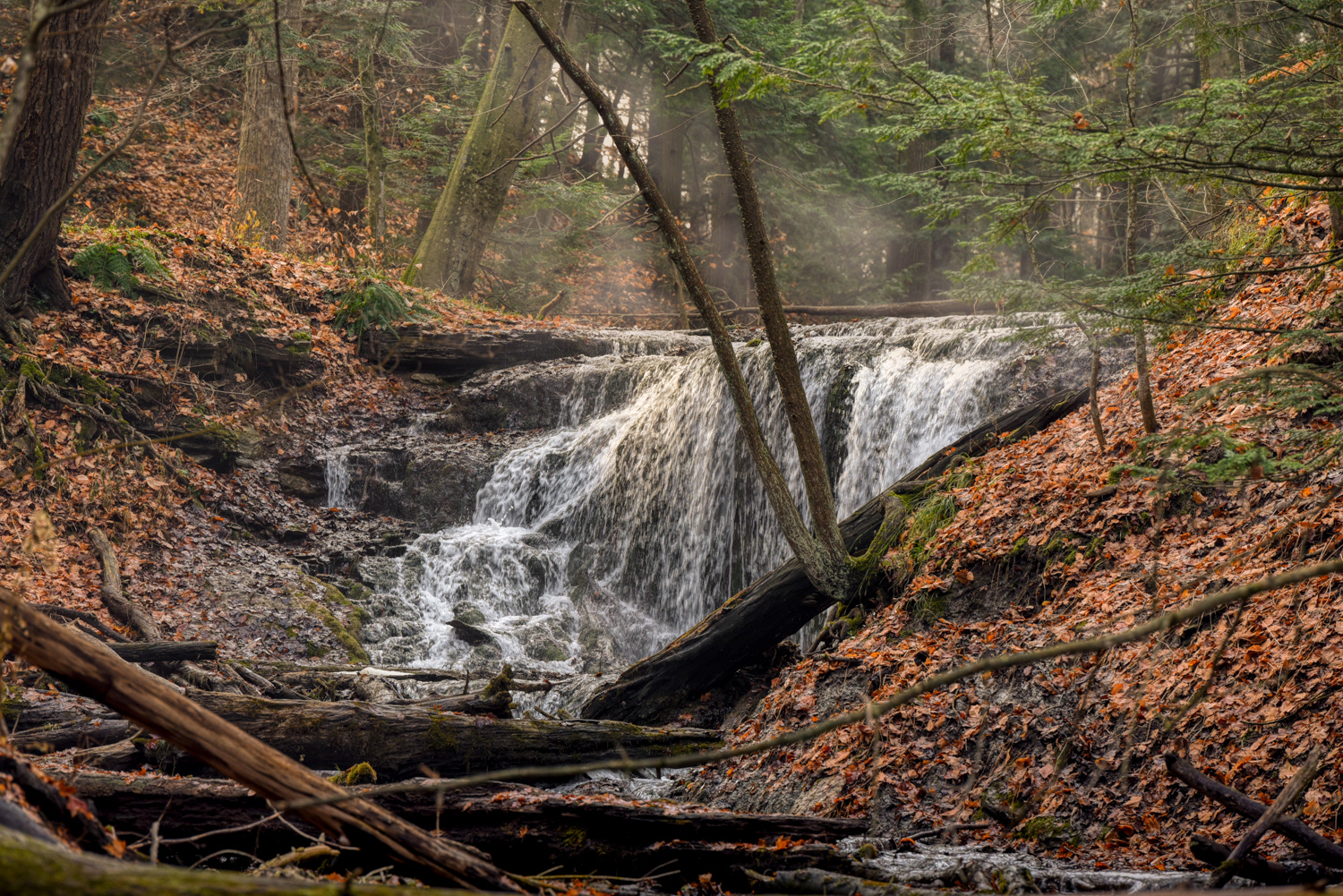 Weavers Creek Falls © Irwin Seidman