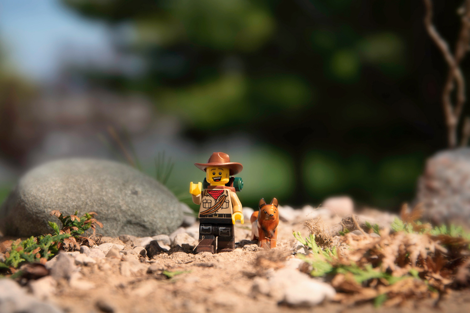 Greetings Along The Trail © Irwin Seidman