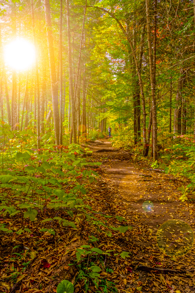 Morning Hike © Irwin Seidman