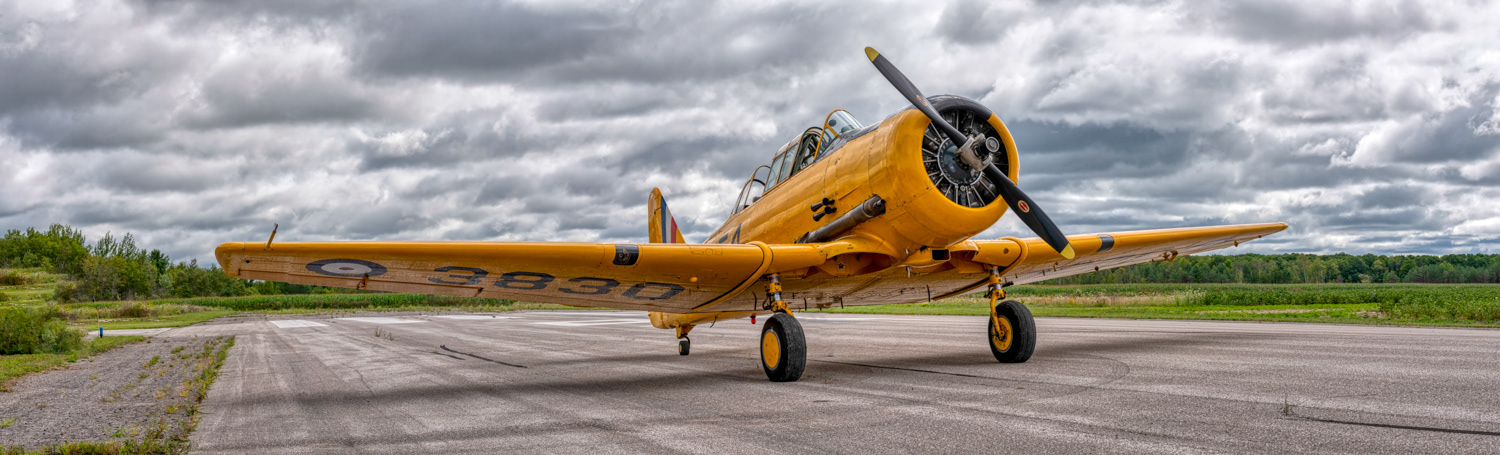 North American Harvard WWII Aircraft © Irwin Seidman