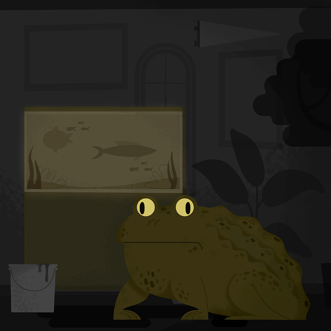 Day 26: Toad When you rescue a frog from the shelter you can’t just leave it behind when you move. No they are a total commitment for life. The fish however? Oh the tenant is just keeping those fresh for dinner.