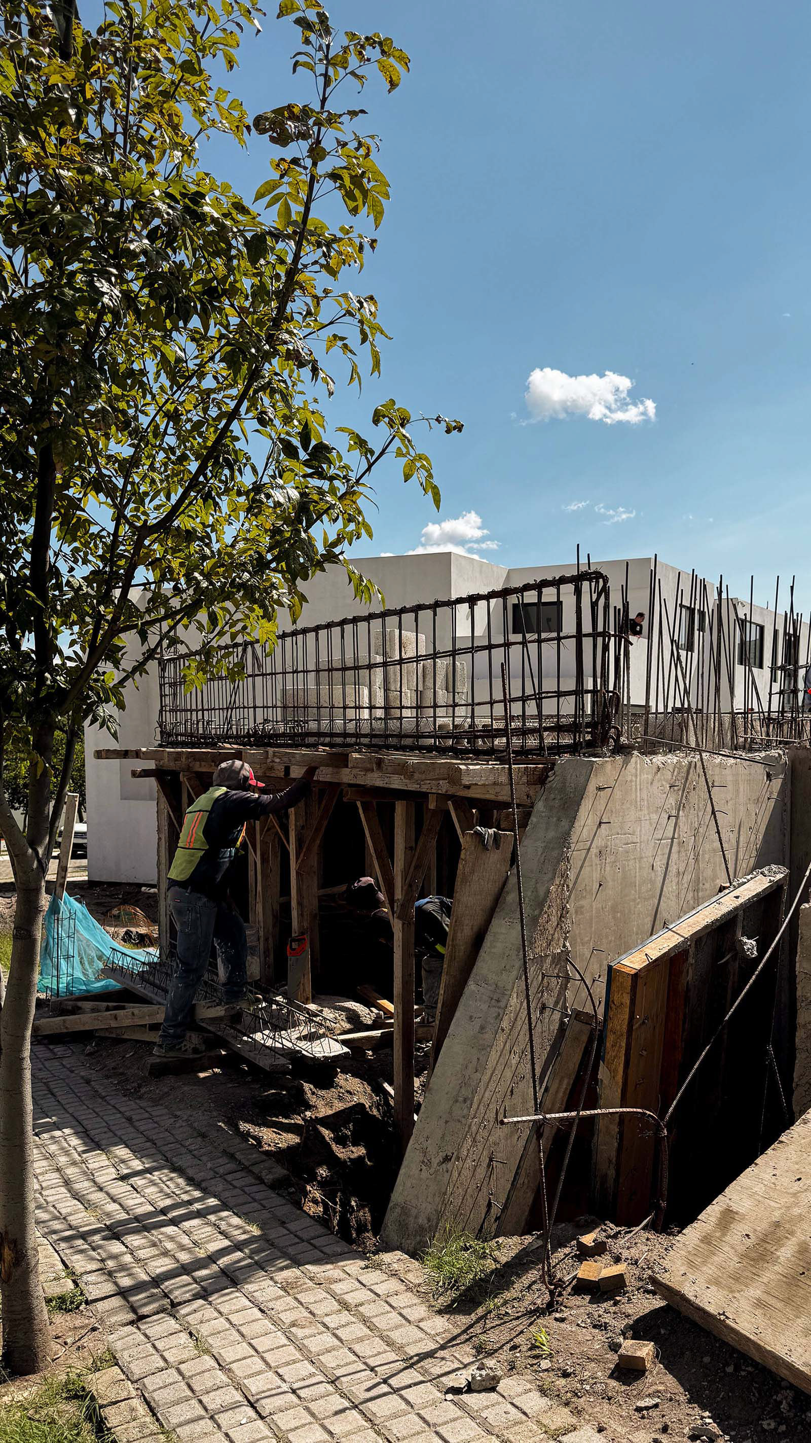 © Foto por Arahón Hdez.