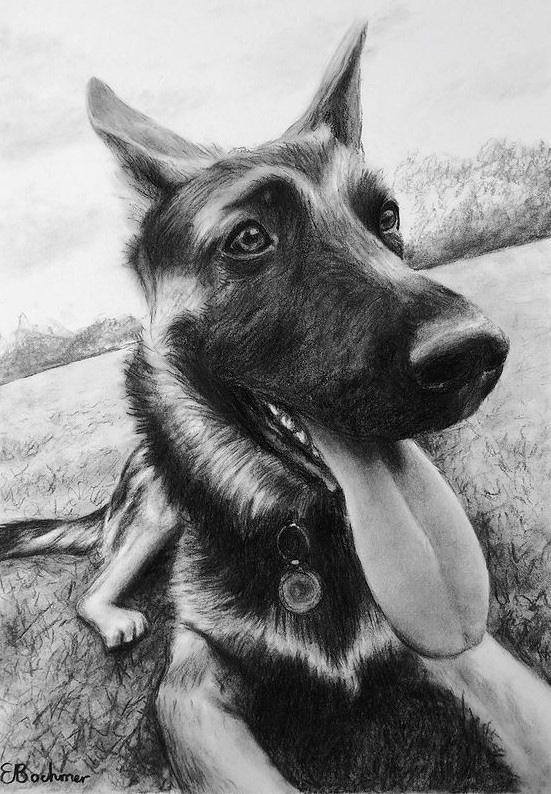Charcoal