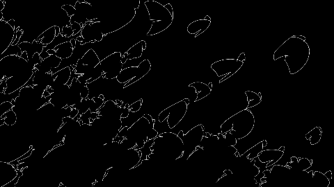 Background Group - Selected Details