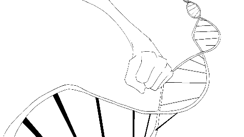 Responsible for all aspects