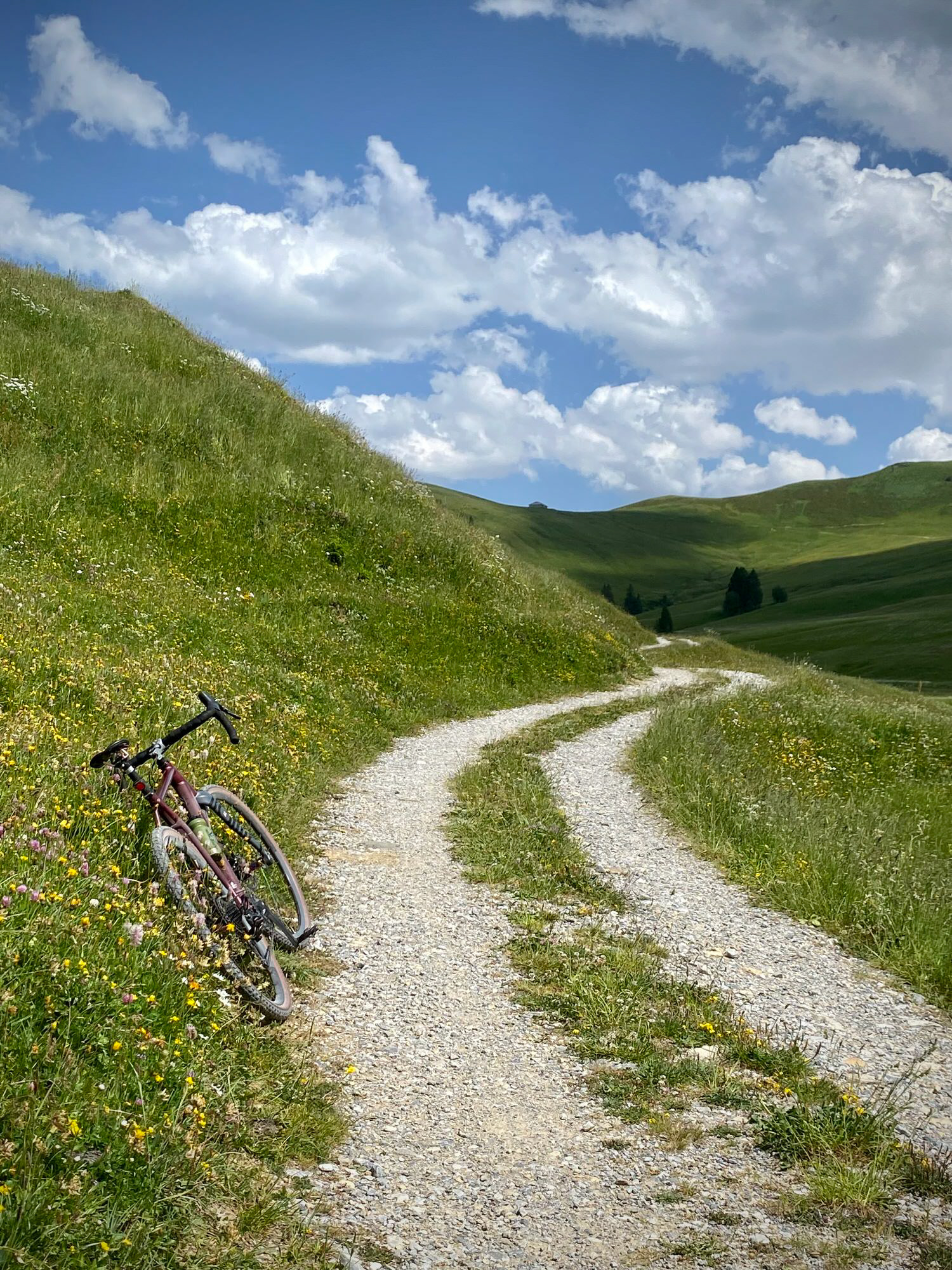 Gravel bike riding in summer.