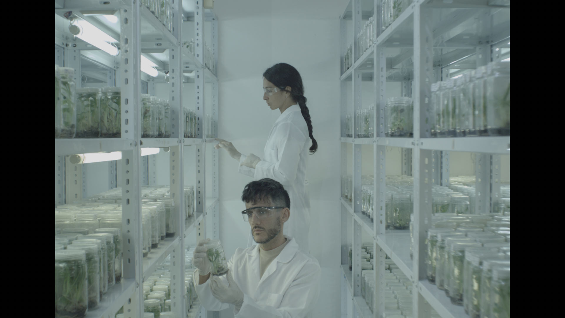 Digital Bolex D16 DNG RAW