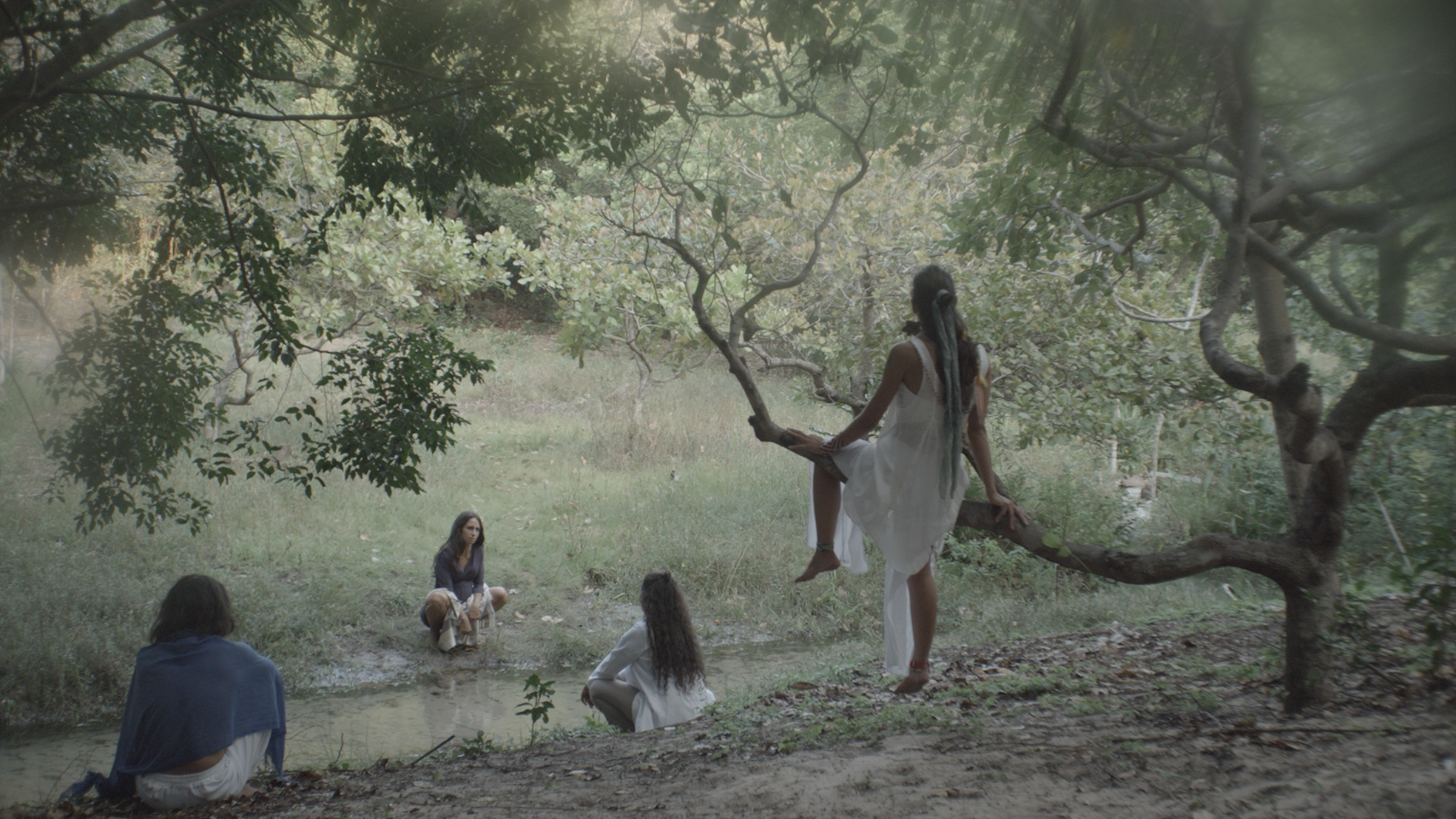 Digital Bolex D16 DNG RAW